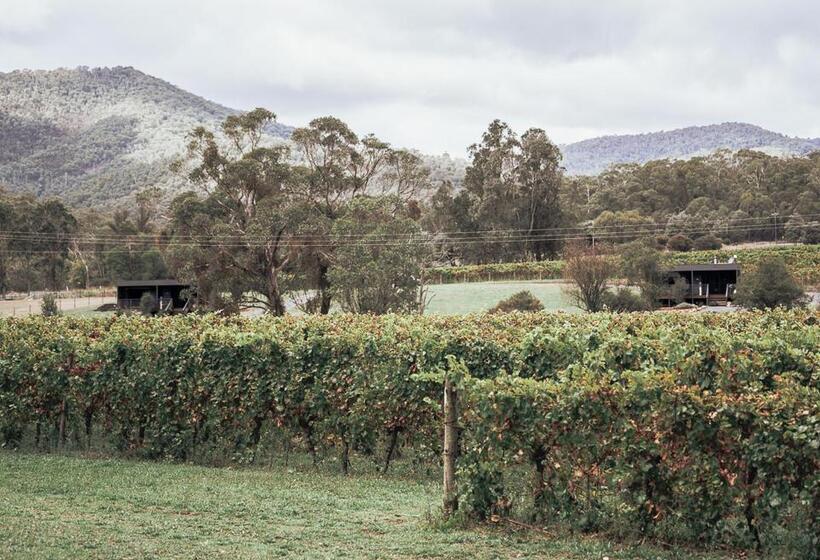 膳宿费 Sambar Hills  Kings #3