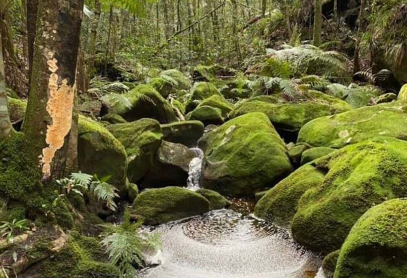 펜션 Tullys Hut   Walk To Hikes, Waterfalls, Views
