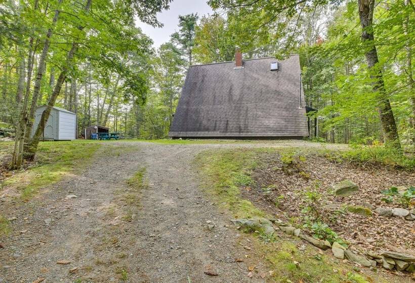 Pet Friendly Belfast Retreat   2 Mi To Downtown!