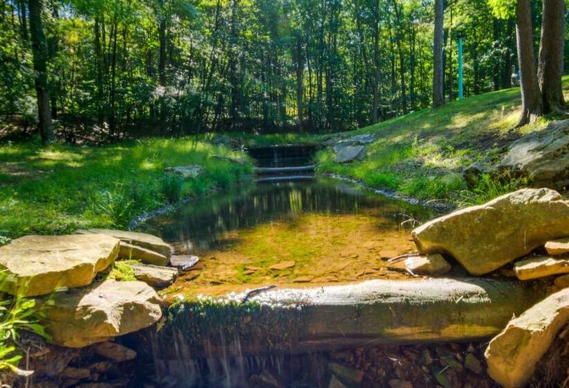 Secluded Cabin W/ On Site Creek + Trails!
