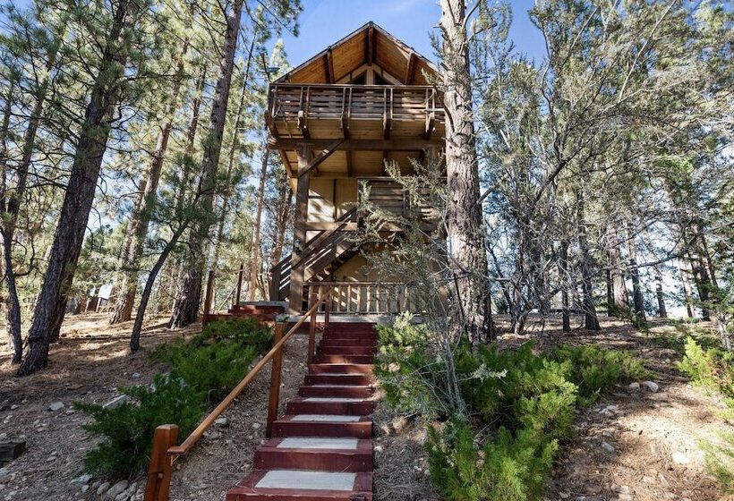 Treehouse On Rainbow