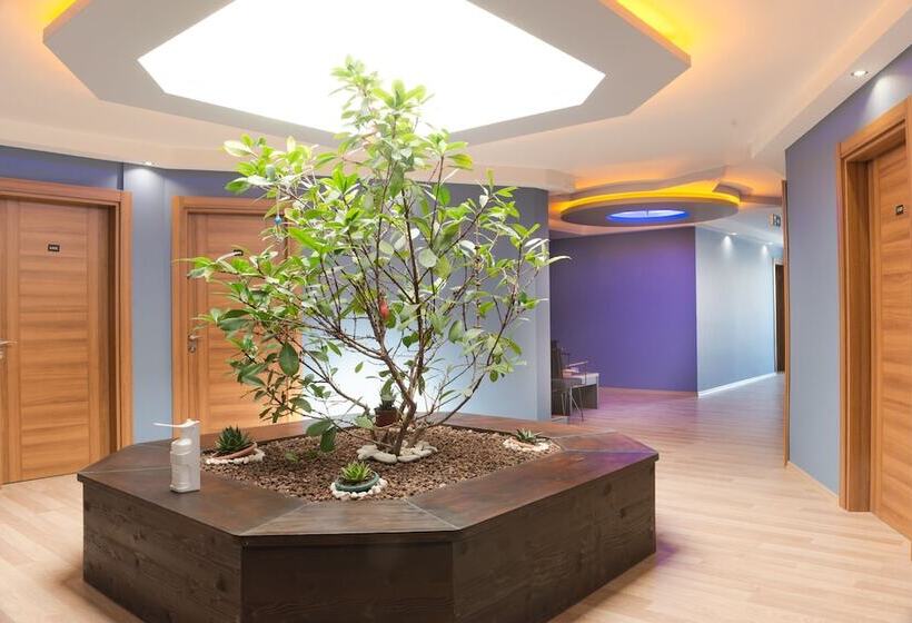 ホテル Urla My Rooms