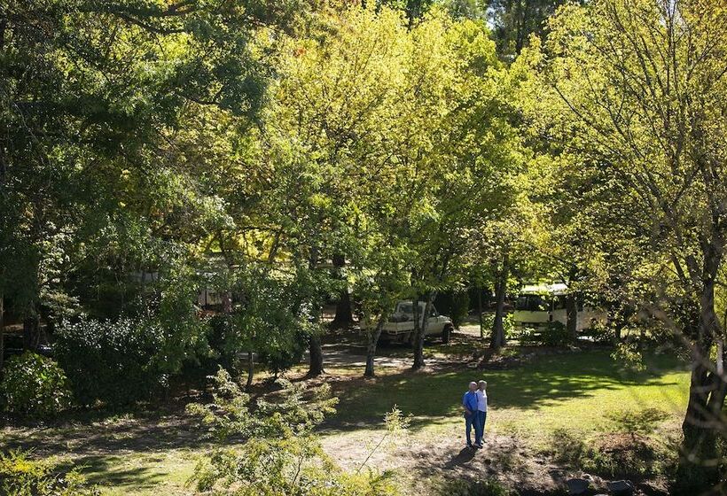 渡假胜地  Tawonga Tourist Park