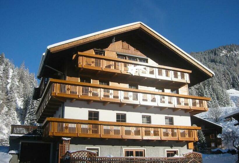 Отель Gaestehaus Berger