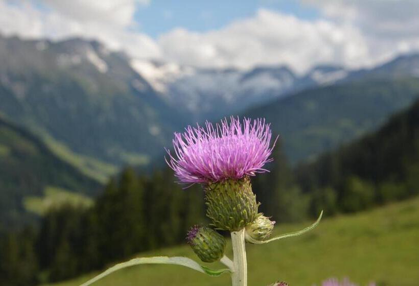 Отель Natur Resort Rissbacher