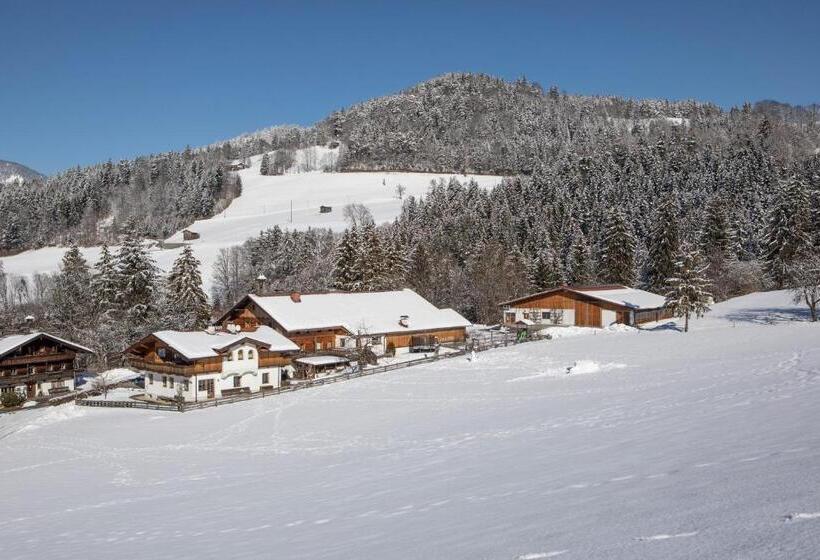 Отель Oberhaslachhof