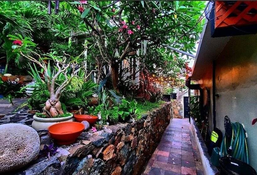 پانسیون Island View Guesthouse