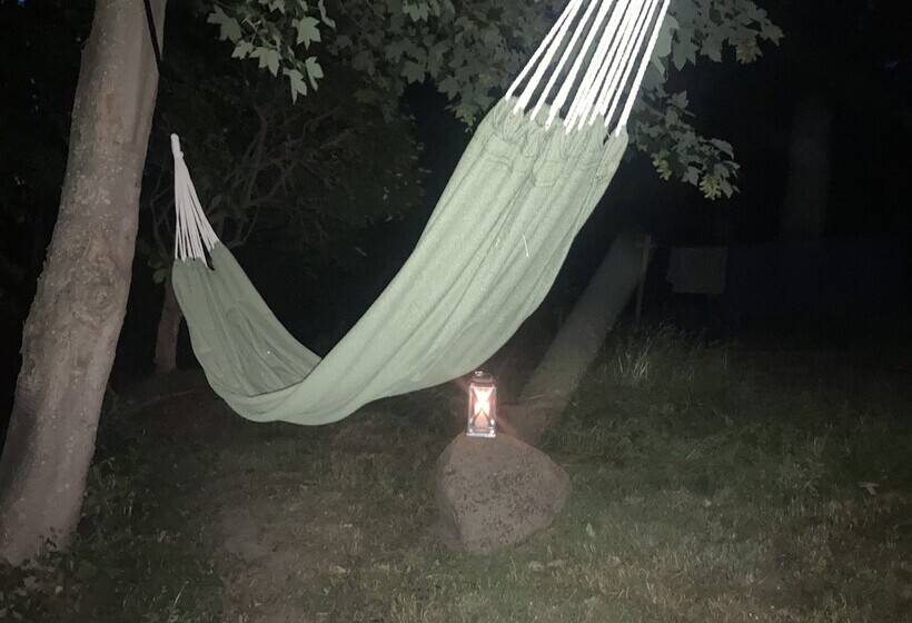 پانسیون Residens Svalhøj