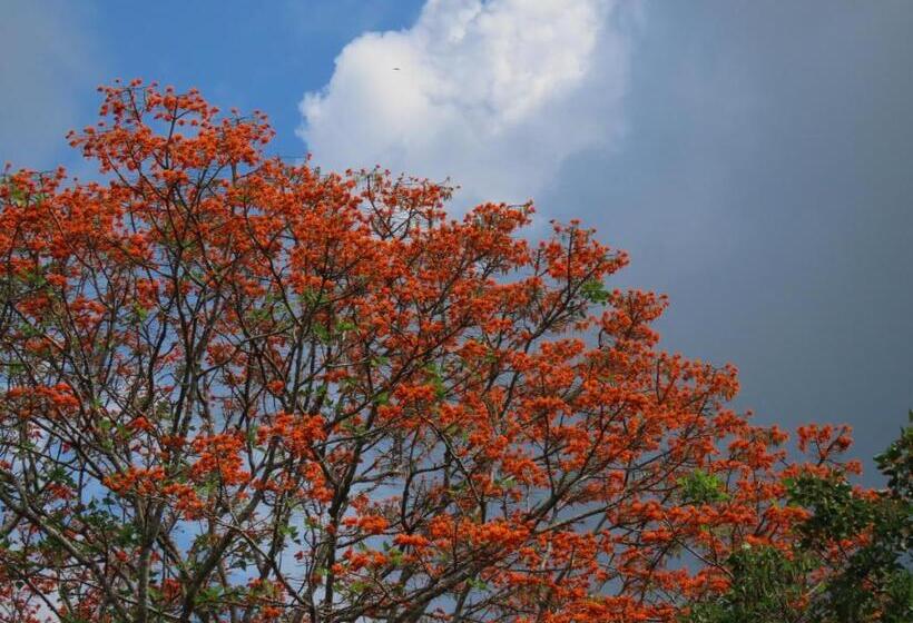 فندق صغير Montaña Verde