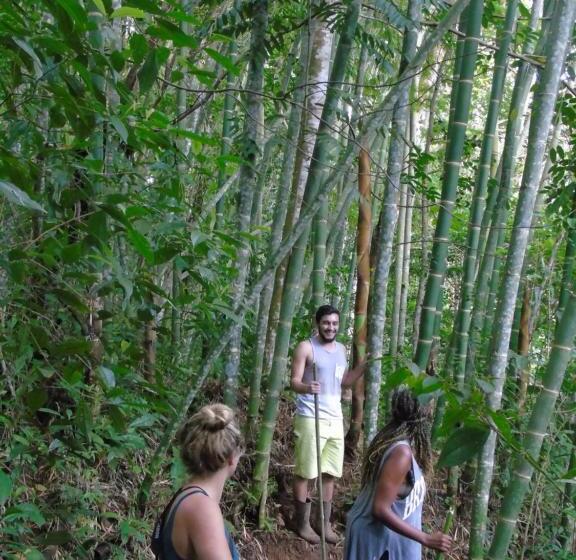 فندق صغير Montaña Verde