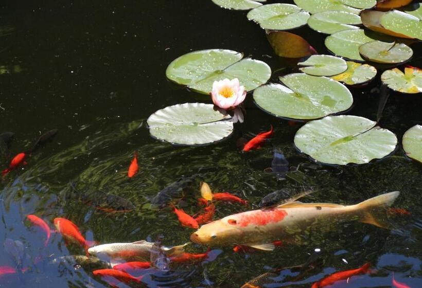 تختخواب و صبحانه De Tuinkamer