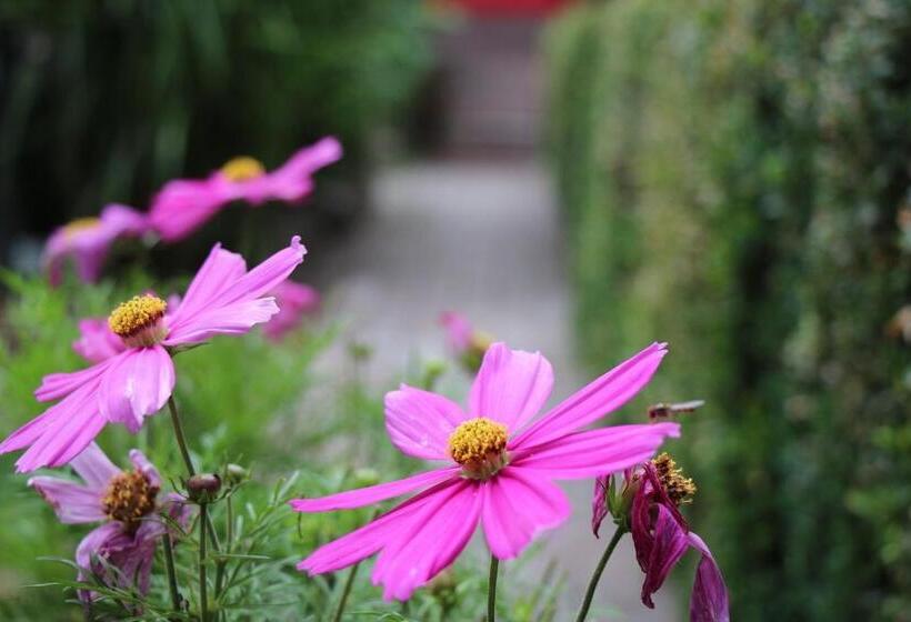 تختخواب و صبحانه De Tuinkamer