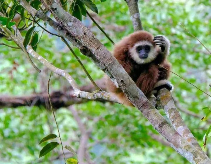 تختخواب و صبحانه Eco Trekking Lodge Bar & Tour S