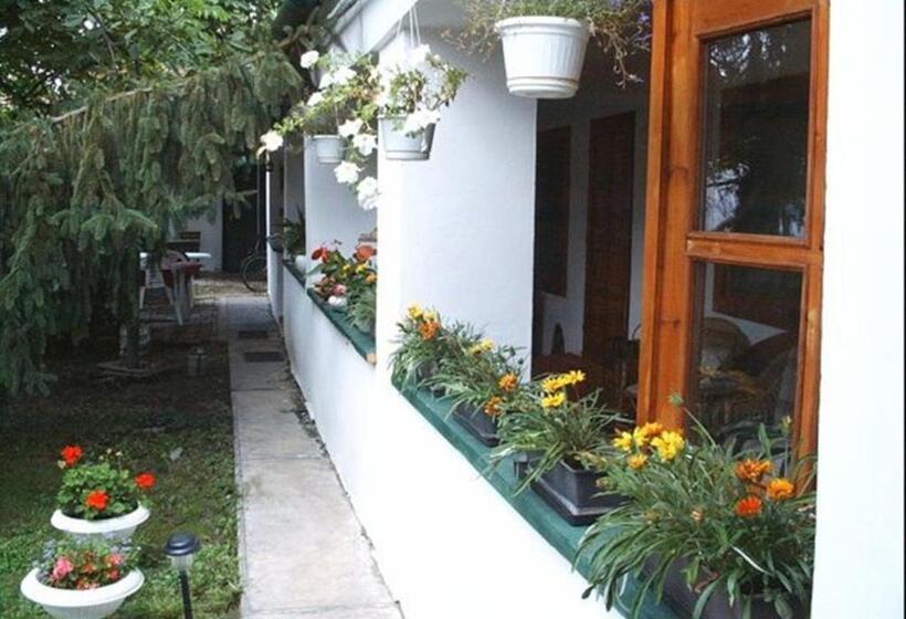 Bed and Breakfast Vali Vendégház