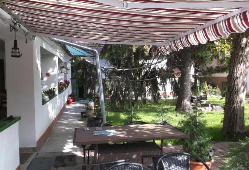 Bed and Breakfast Vali Vendégház