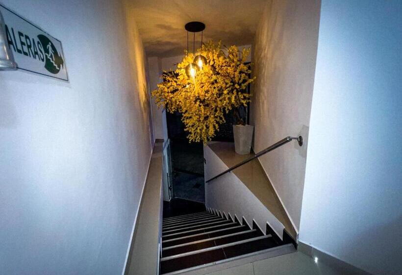 هتل Boutique Veracruz Termales