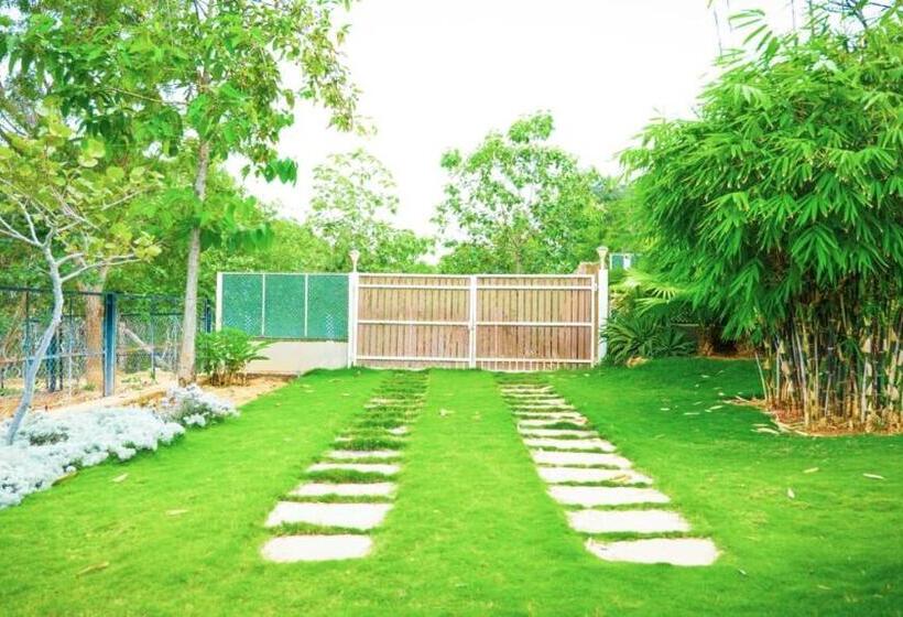 酒店 Divine Nature Homestay
