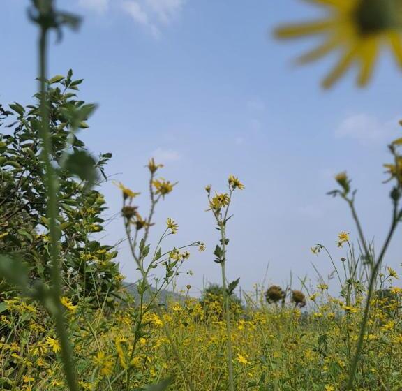 فندق Saifarm Resort Lonavala
