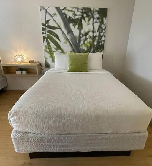 Newly Renovated Room In Cozy Hotel Near Disney 2