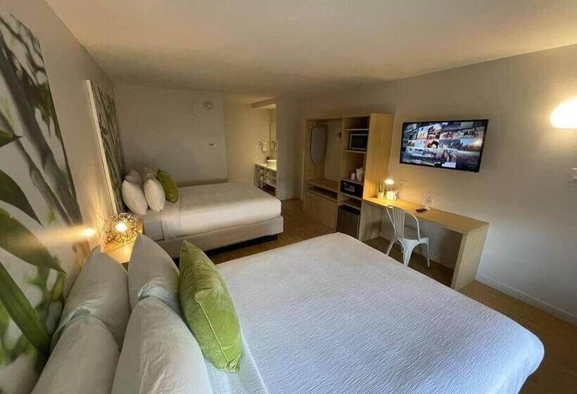 Newly Renovated Room In Cozy Hotel Near Disney 2
