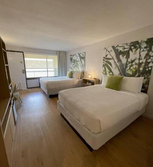 Newly Renovated Room In Cozy Hotel Near Disney 2