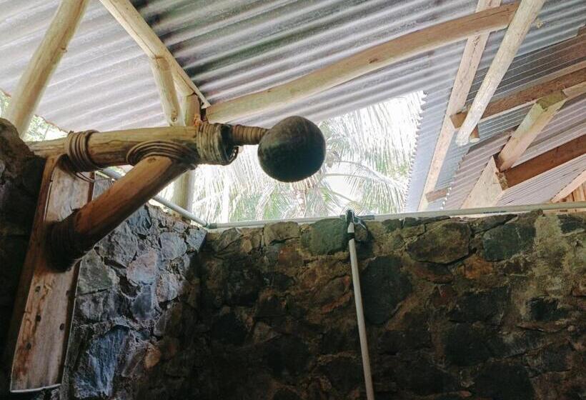 پانسیون Back To Nature Ecotourism