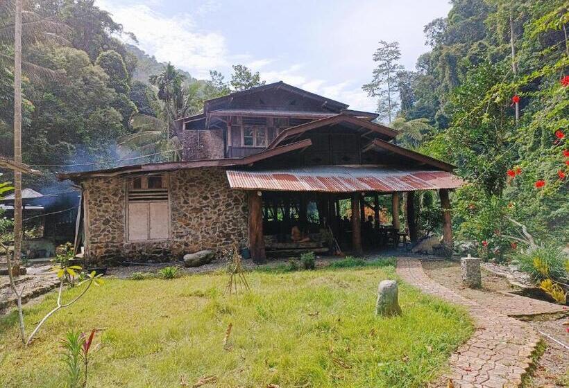 پانسیون Back To Nature Ecotourism