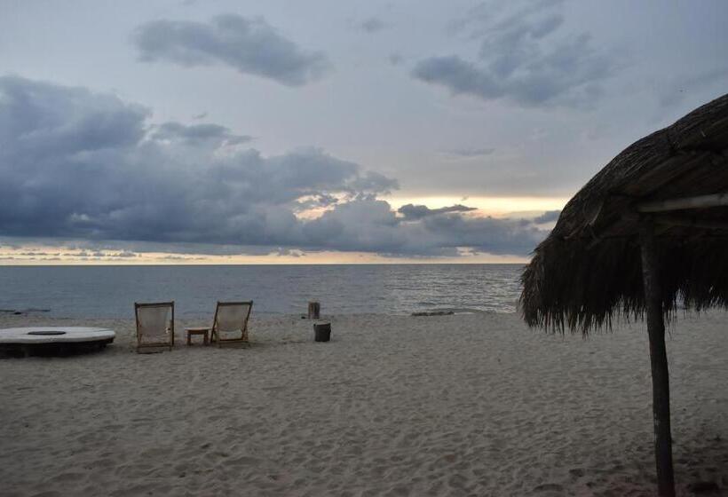 پانسیون Palenque Beach House