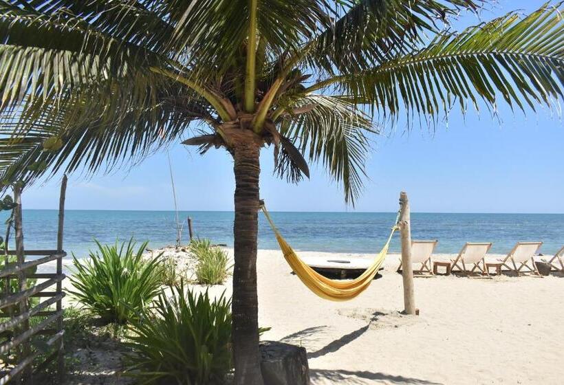 پانسیون Palenque Beach House