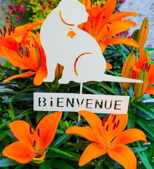 بنسيون The Annex