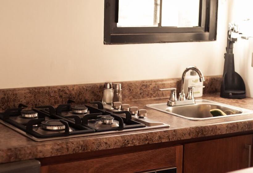 فندق Oasis 444