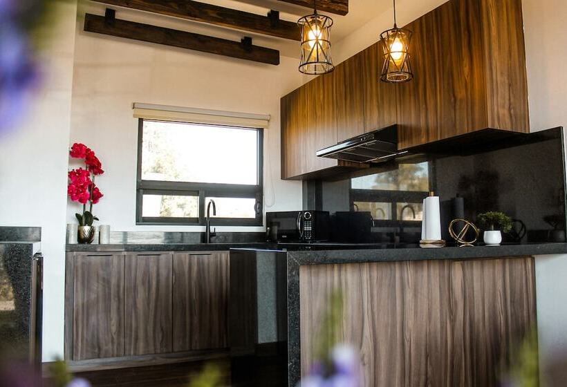 فندق Oasis 444
