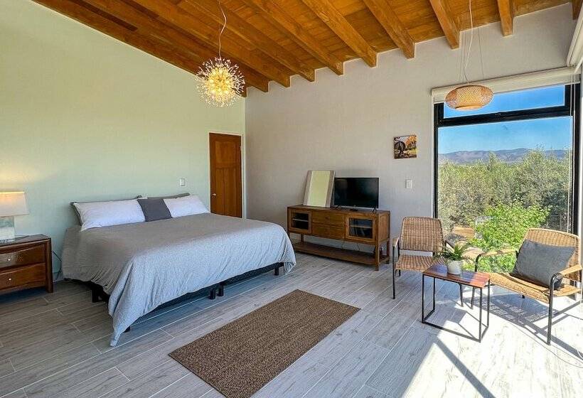 فندق Viñedo Casa La Noria
