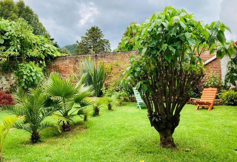 پانسیون Casa Flor De Vida