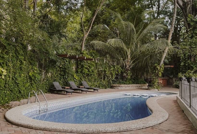 بنسيون Las Haditas