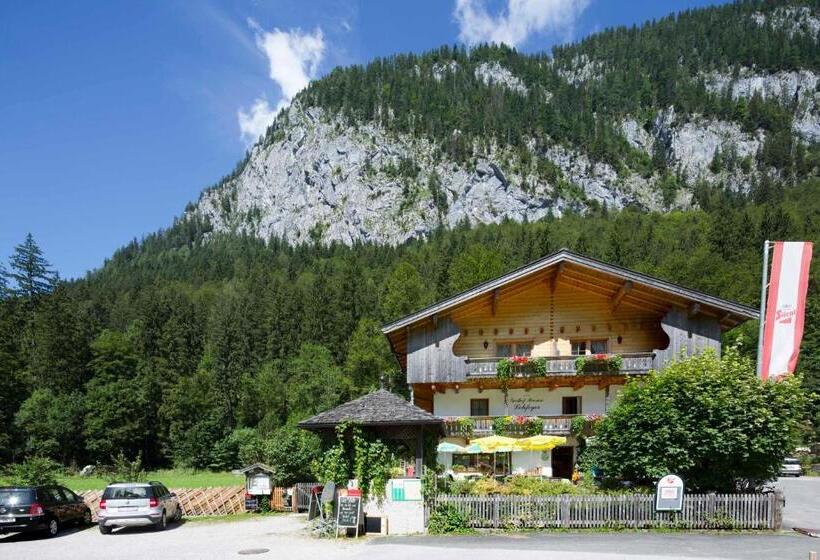 Общежитие Gasthof Pension Lohfeyer