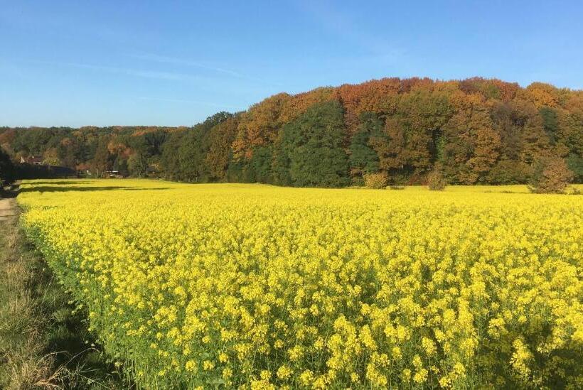 צימר Villa Helena
