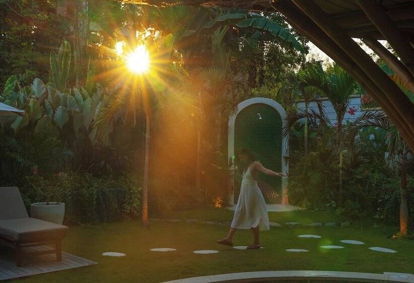 تختخواب و صبحانه Villa Tokay   Luxury Private Villas