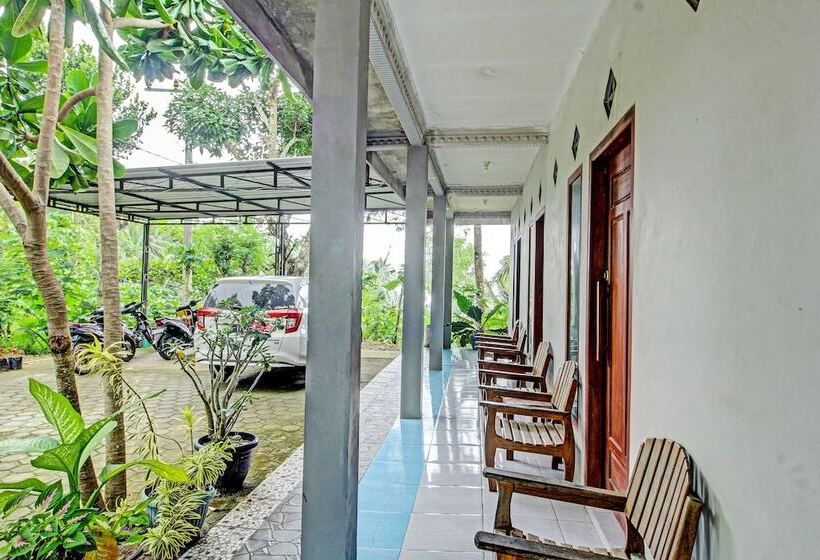 فندق Argo Homestay By Oyo