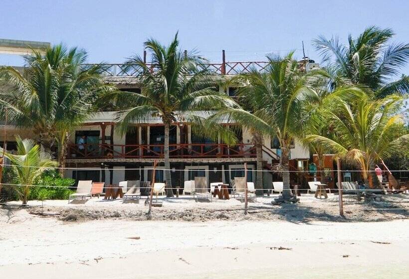 Hotel Choby's House Holbox