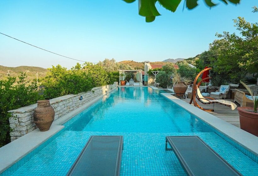 בית מלון כפרי Datca Damyan Ciftligi