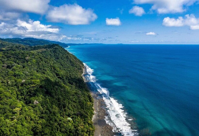 Отель La Ponderosa Beach & Jungle Resort