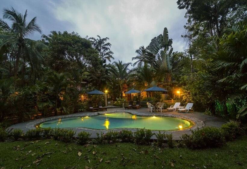 酒店 La Ponderosa Beach & Jungle Resort