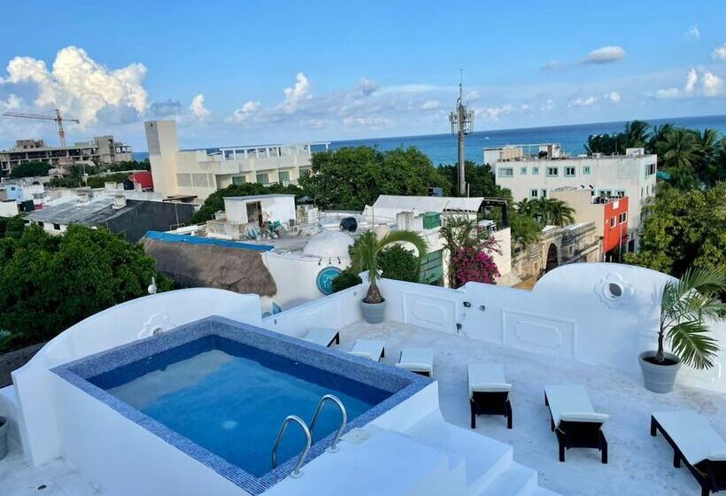 هتل Mayab Playa   5th. Ave