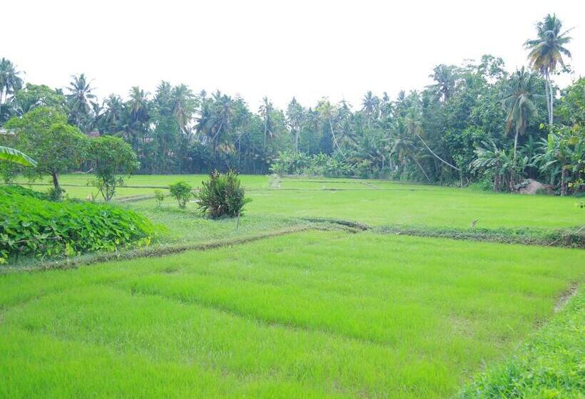 酒店 Peacock Heaven Ahangama