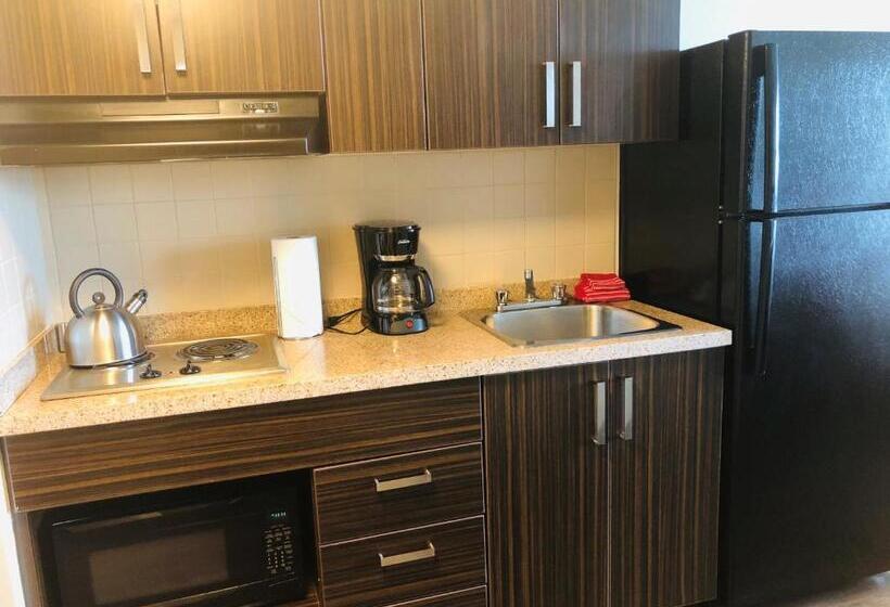 בית מלון כפרי Sait Residence & Conference Centre   Calgary