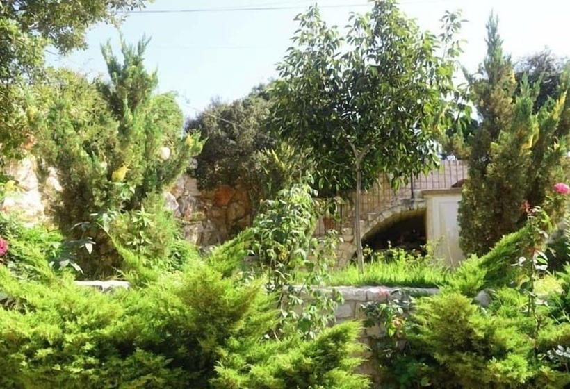 پانسیون Abdelli Terraces