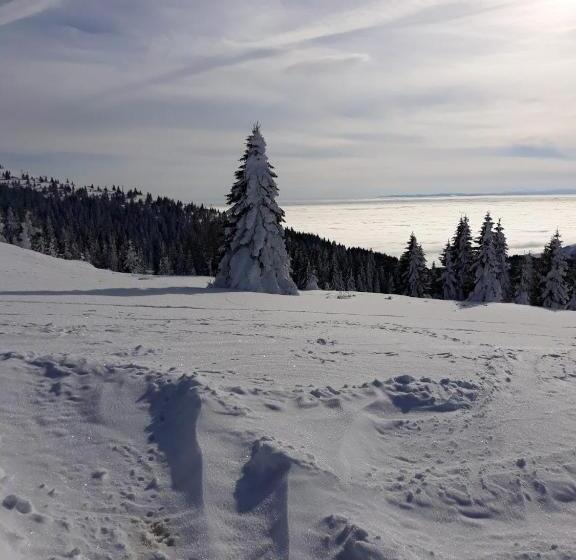 پانسیون Apartman Vila Natasa