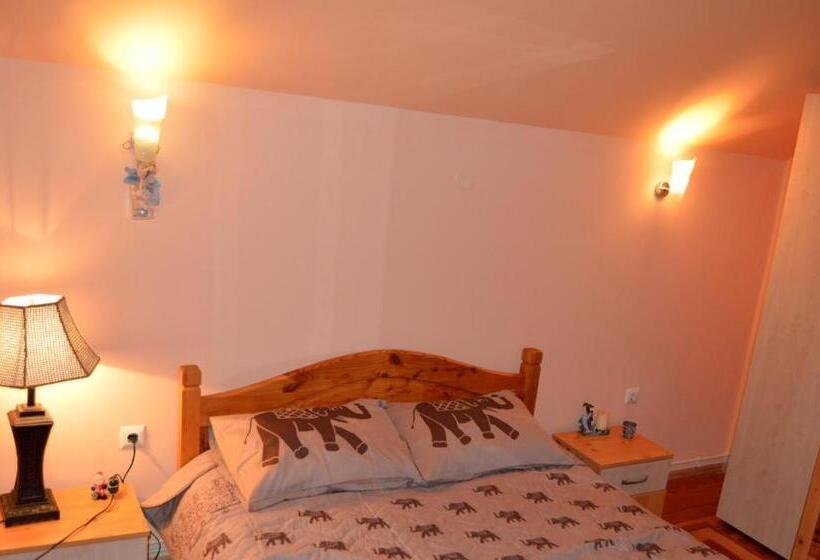 ペンション Casa Piatra Craiului
