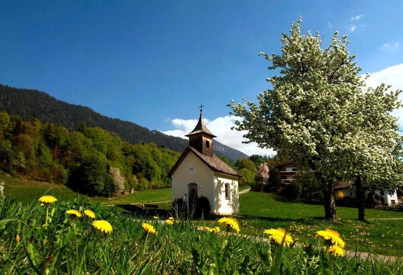 پانسیون Ferienheim Riedhof